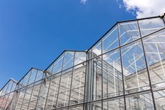 Projets réalisés par Future Greenhouse