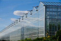 Schirmreparaturdienste von Future Greenhouse